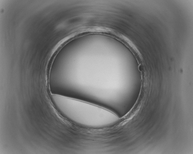 X0000084530837200702230836
