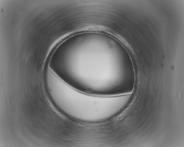 X0000084530838200702230836