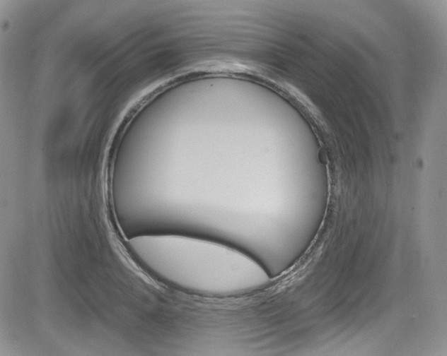 X0000084530840200702230836