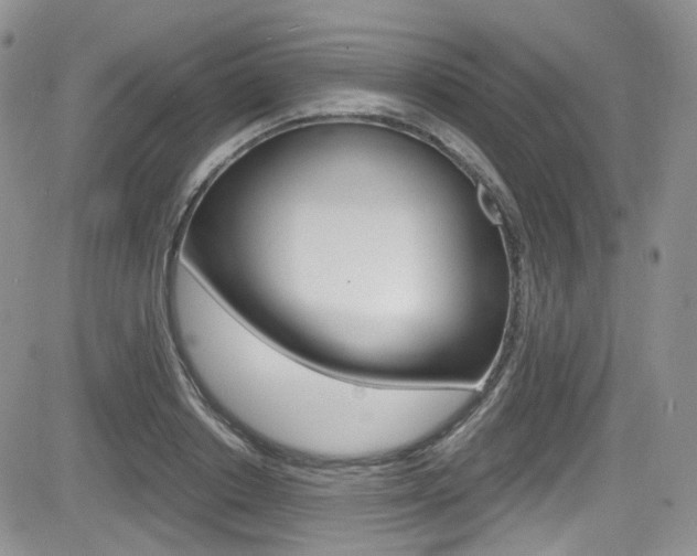 X0000084530842200702230836
