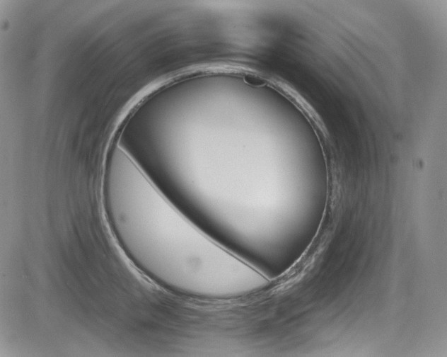 X0000084530853200702230836