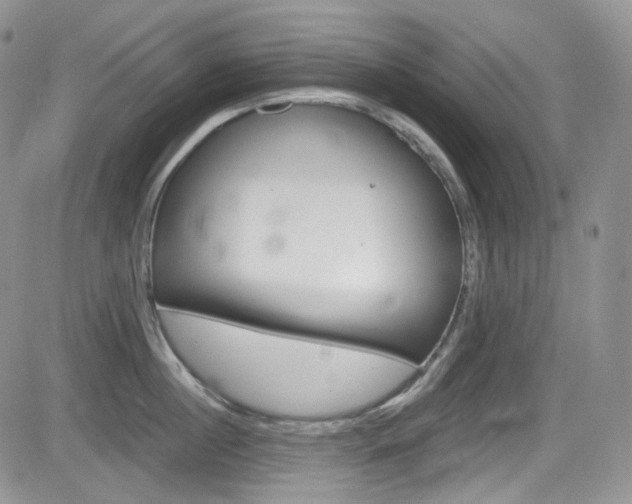 X0000084530860200702230836