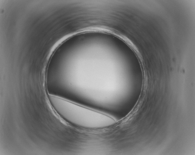 X0000084530862200702230836