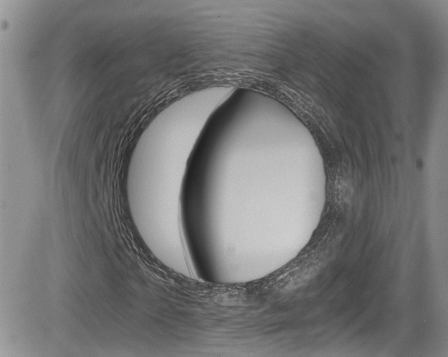 X0000084530865200702230836