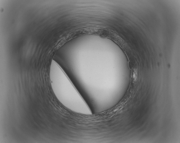 X0000084530867200702230836