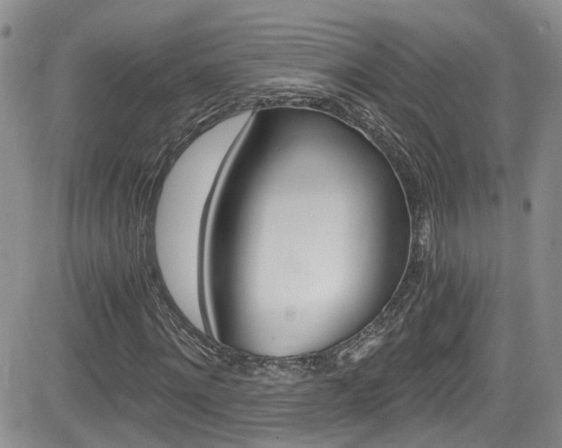 X0000084530868200702230836