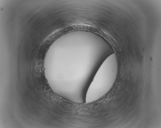 X0000084530870200702230836