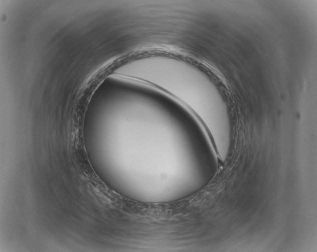X0000084530872200702230835