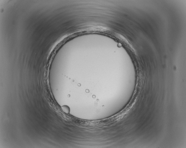 X0000084530875200702230835