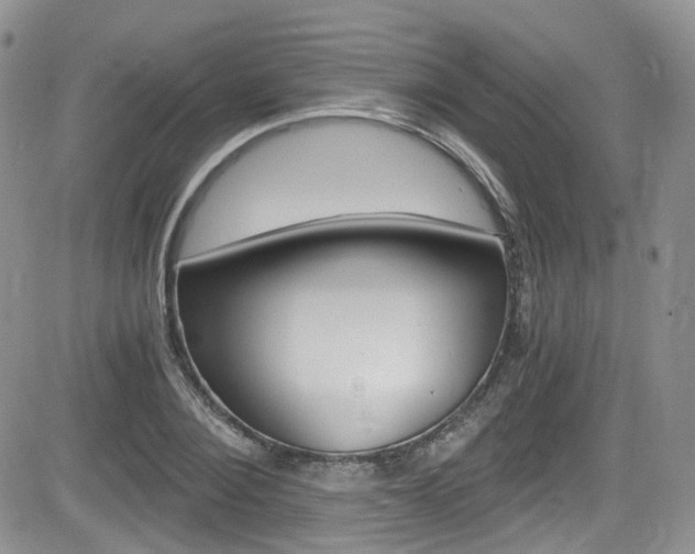 X0000084530884200702230835