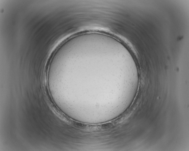 X0000084530887200702230835