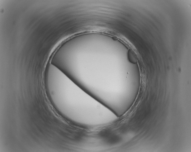 X0000084530891200702230835