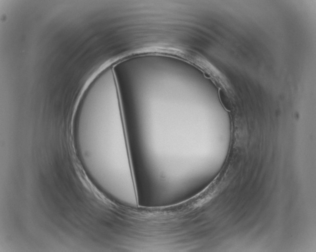 X0000084530892200702230835