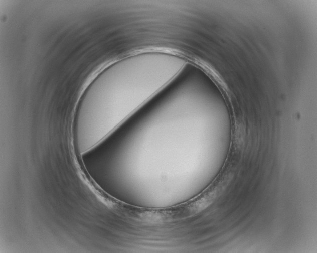 X0000084530898200702230835