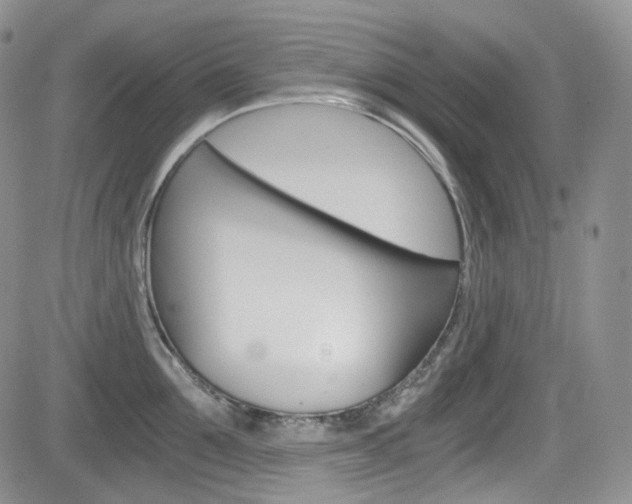 X0000084530907200702230835