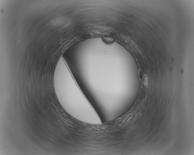 X0000084530915200702230834