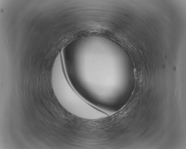 X0000084530916200702230834