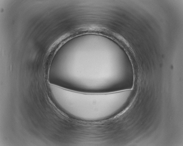 X0000084530922200702230834