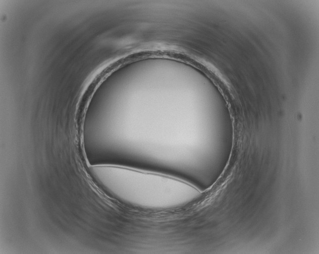 X0000084530927200702230834
