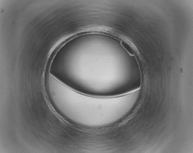 X0000084530936200702230834