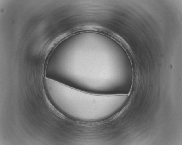 X0000084530938200702230834
