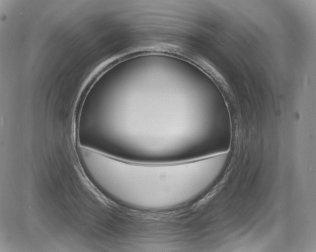 X0000084530940200702230834