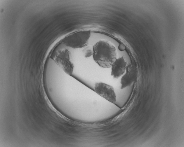 X0000084530941200702230834