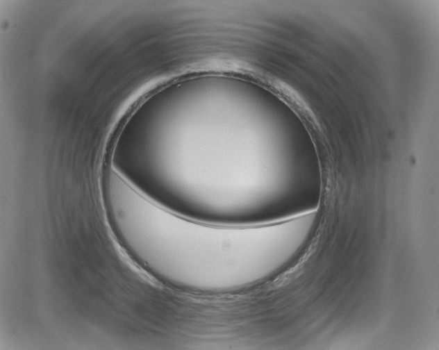 X0000084530942200702230835