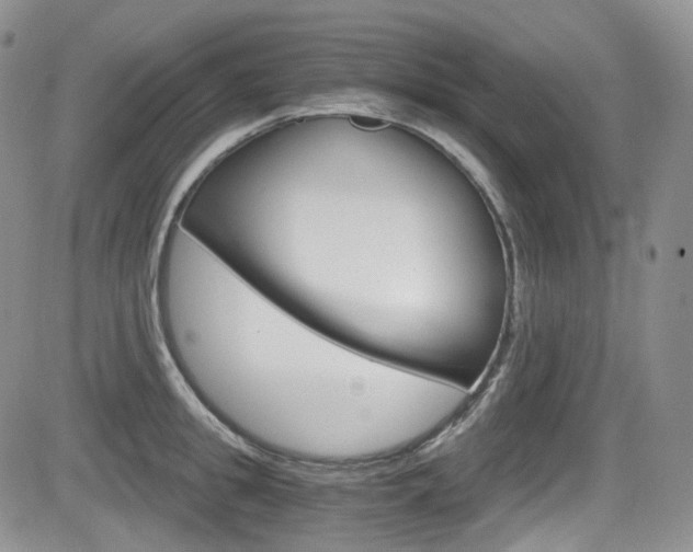 X0000084530949200702230835