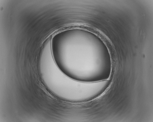 X0000084530969200702230834