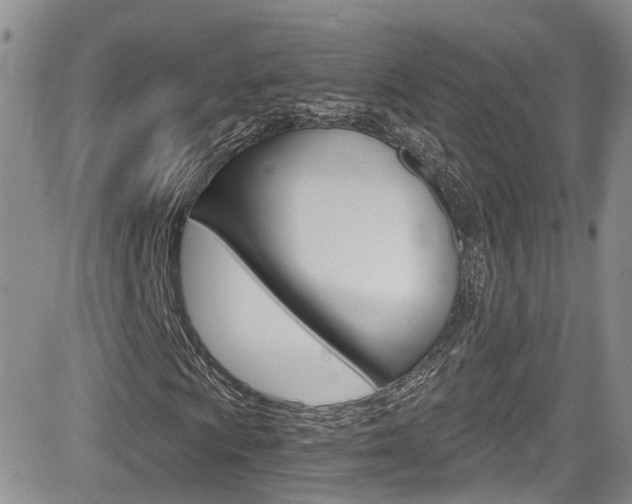 X0000084531009200702230832