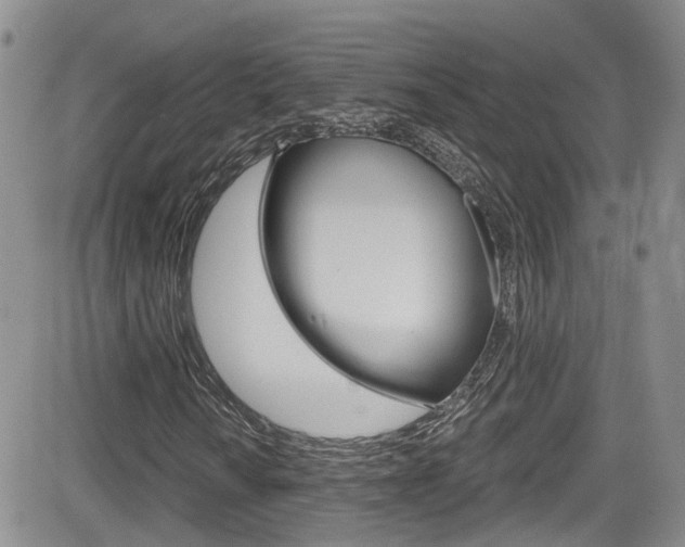 X0000084531010200702230832