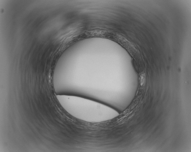 X0000084531011200702230832