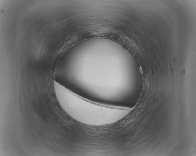 X0000084531012200702230832