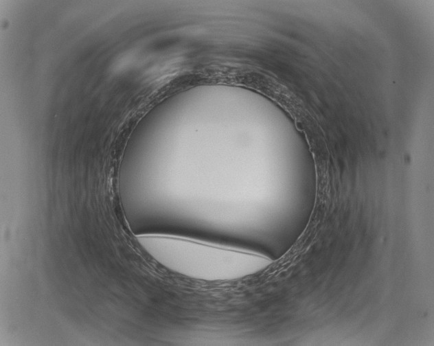 X0000084531013200702230833