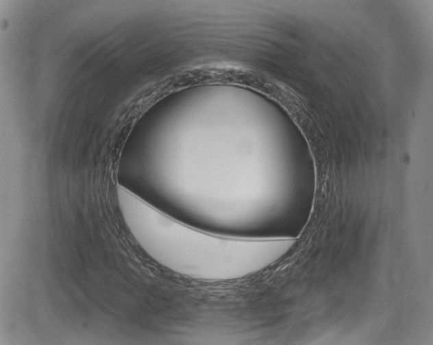 X0000084531014200702230833