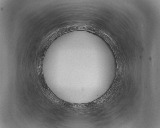 X0000084531015200702230833