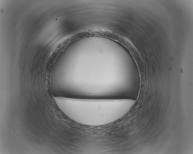 X0000084531016200702230833