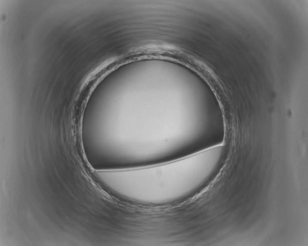 X0000084531018200702230833