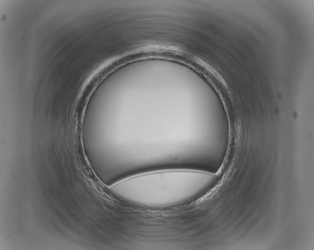 X0000084531021200702230833