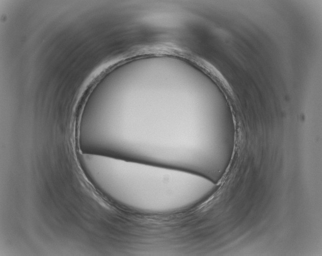 X0000084531035200702230833