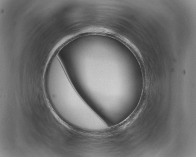 X0000084531037200702230833