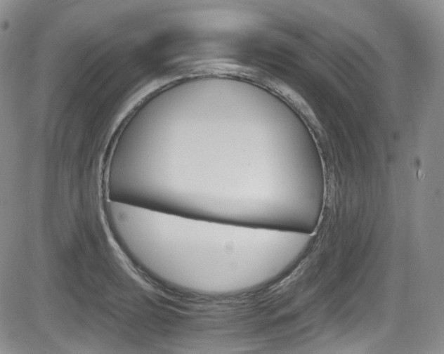 X0000084531039200702230833