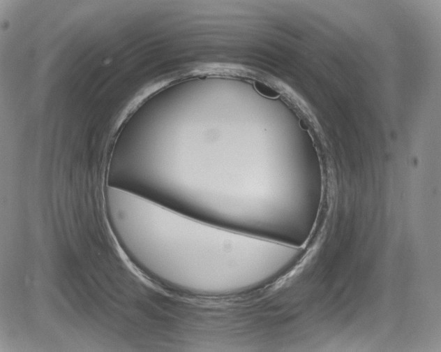 X0000084531041200702230833