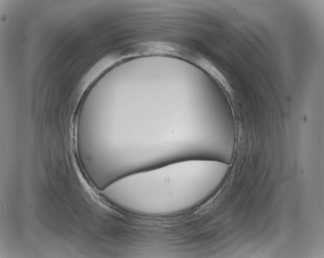 X0000084531047200702230833