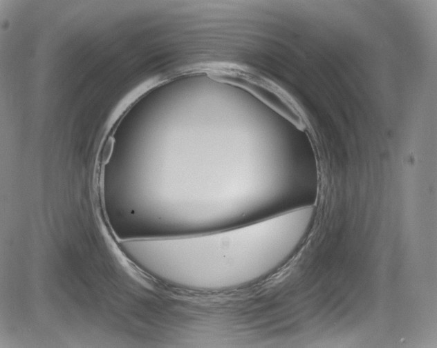 X0000084531050200702230833