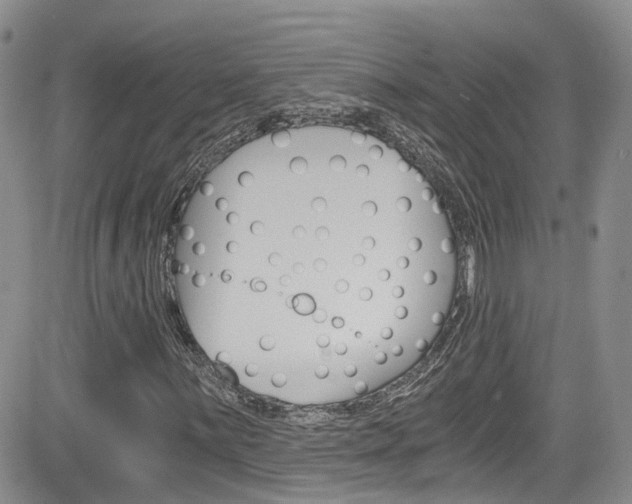 X0000084531059200702230832