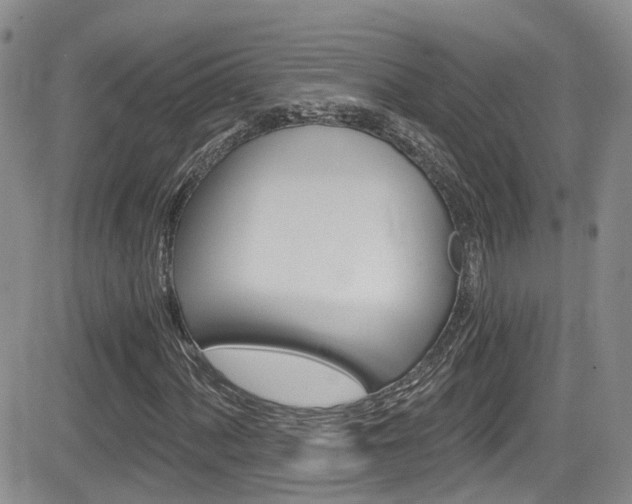 X0000084531060200702230832