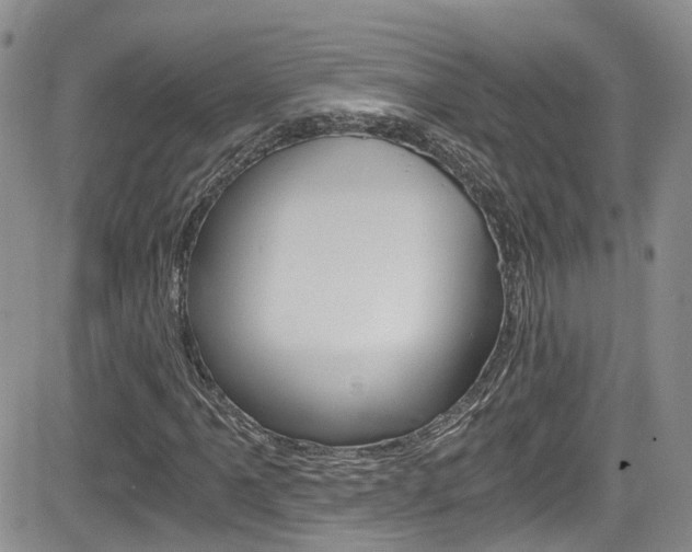 X0000084531061200702230832