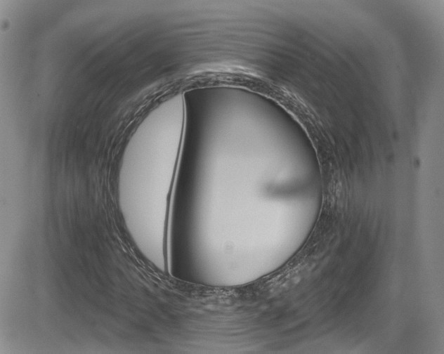 X0000084531062200702230832
